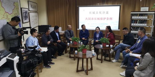 大同長城保護條例 文化沙龍第三期共獻良策，藝術活動策劃為保護賦能